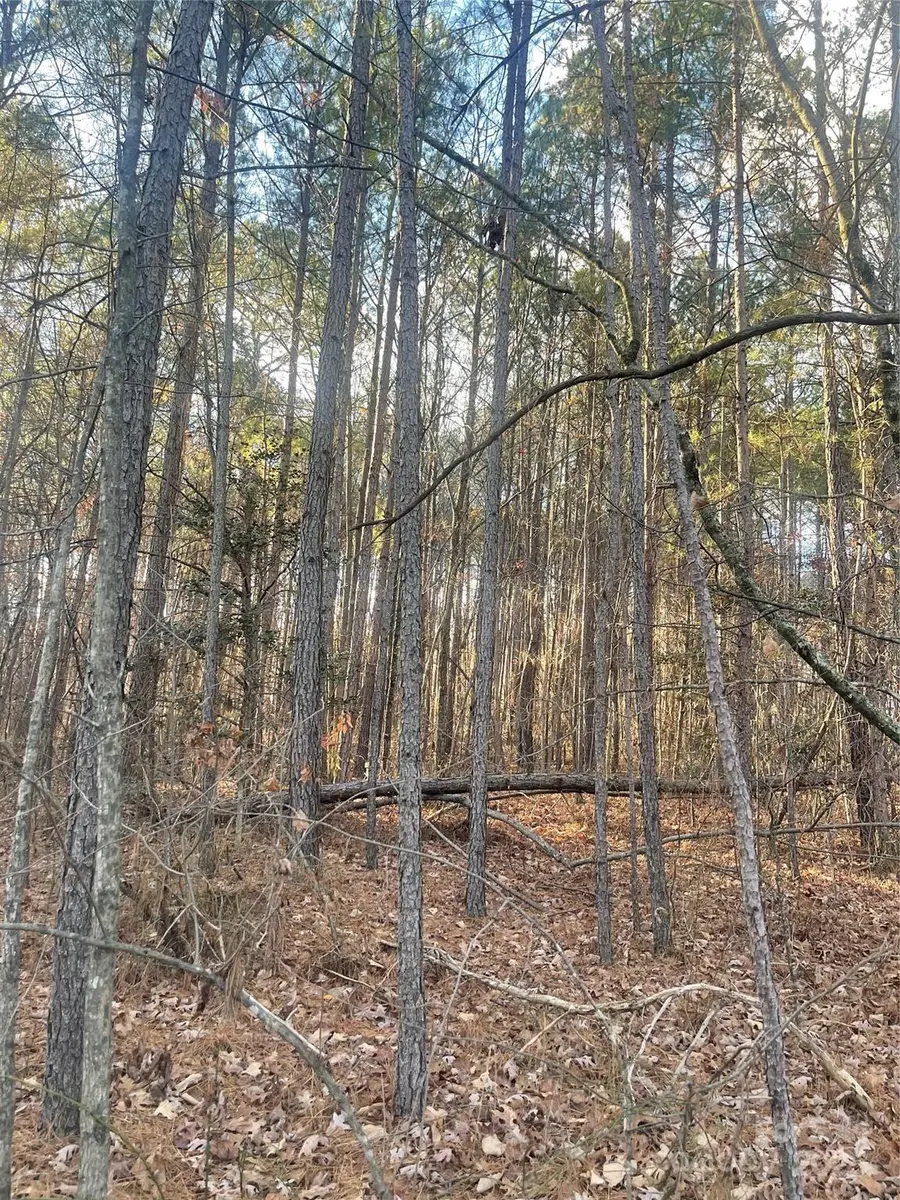 3912 Scott Road, Morganton, NC 28655 - Image #3