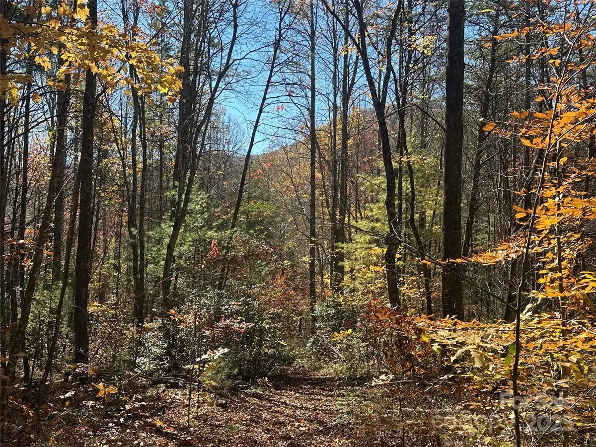 99999 Morgan Hill Road #3, Fairview, NC 28730 - Image #1