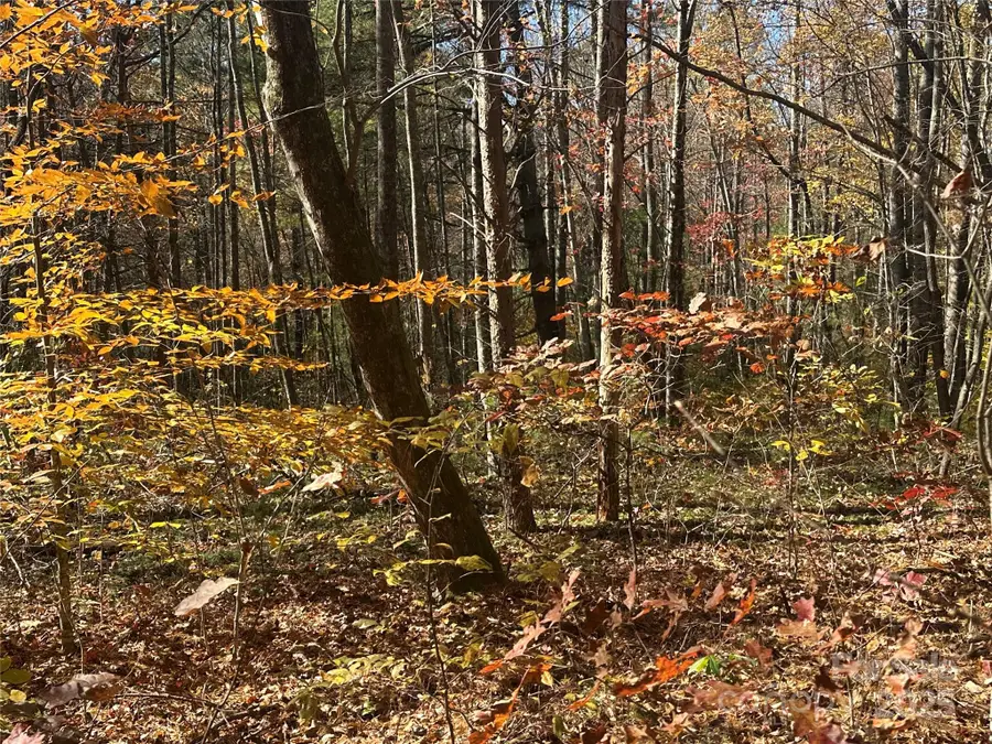 99999 Morgan Hill Road #3, Fairview, NC 28730 - Image #2