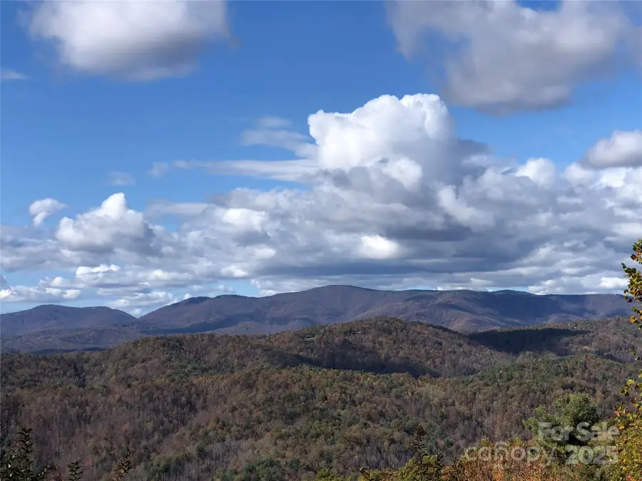 TBD Buck Mountain Road #96, Purlear, NC 28665 - Image #3