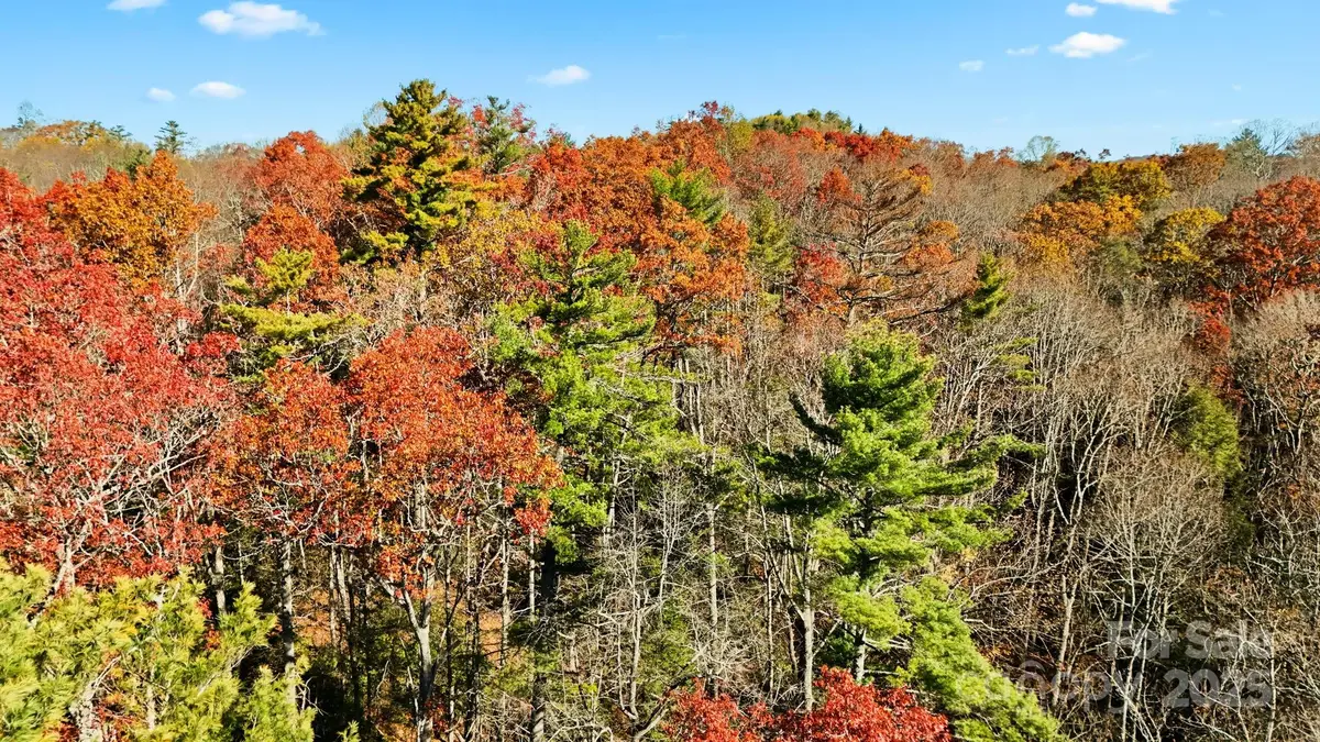 TBD Midway Road, Altamont, NC 28647 - Image #1