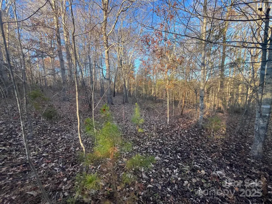 V/L Pinnacle Church Road, Nebo, NC 28761 - Image #3