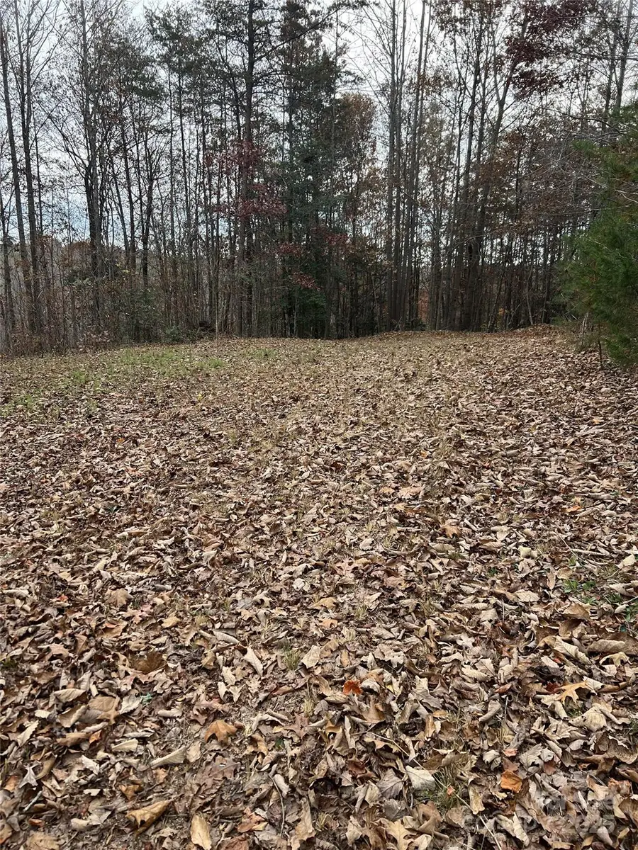 1405 Brannock Smith Drive, Hickory, NC 28602 - Image #3