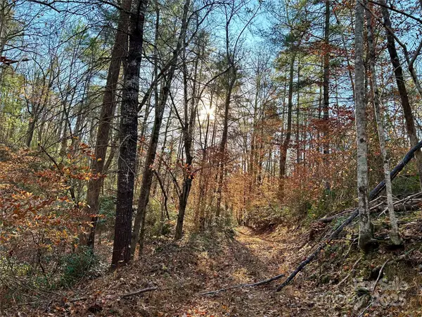 0 Polk County Line Road, Rutherfordton, NC 28139