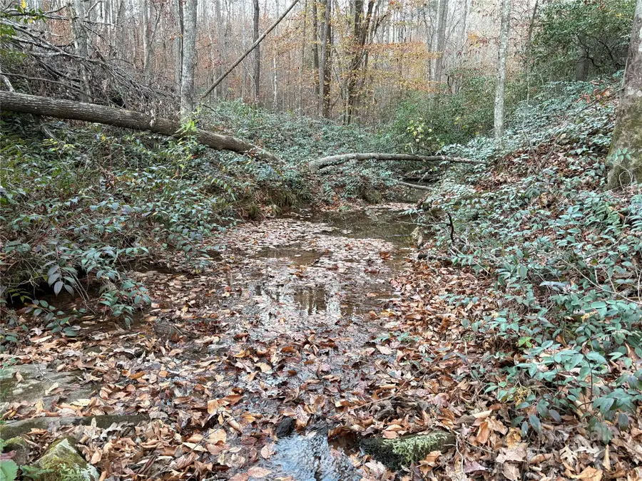 0 County Line Road, Rutherfordton, NC 28139 - Image #2