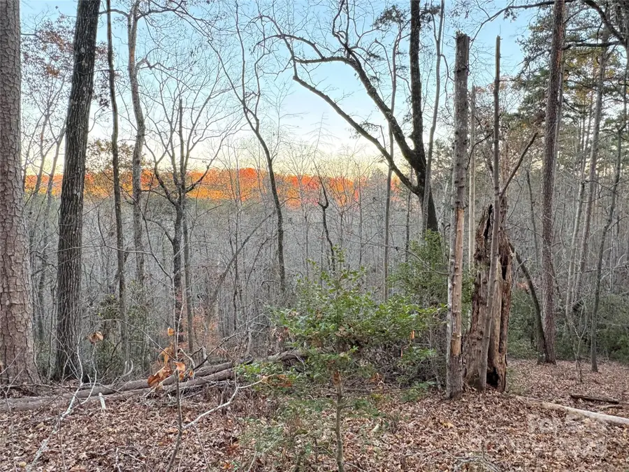 0 County Line Road, Rutherfordton, NC 28139 - Image #3