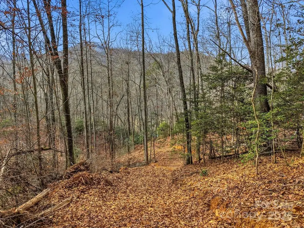 00 Barkers Creek Road, Whittier, NC 28789 - Image #1