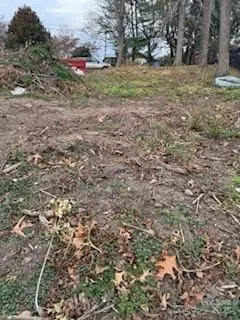 174 Kenilworth Road, Asheville, NC 28803 - Image #3