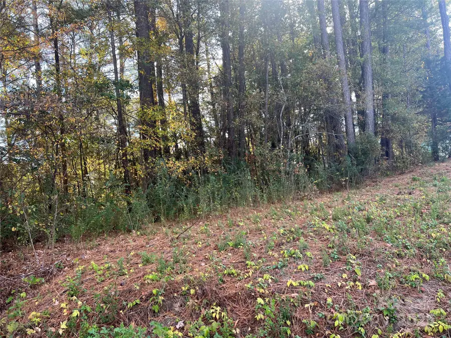 0 Alexander Street, Dallas, NC 28034 - Image #3