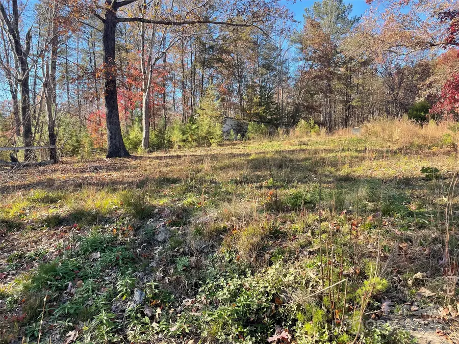 339 Bobby Mckinney Road, Union Mills, NC 28167 - Image #3