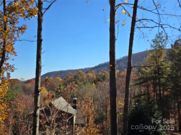 295 S Feather Falls Trail #50, Black Mountain, NC 28711