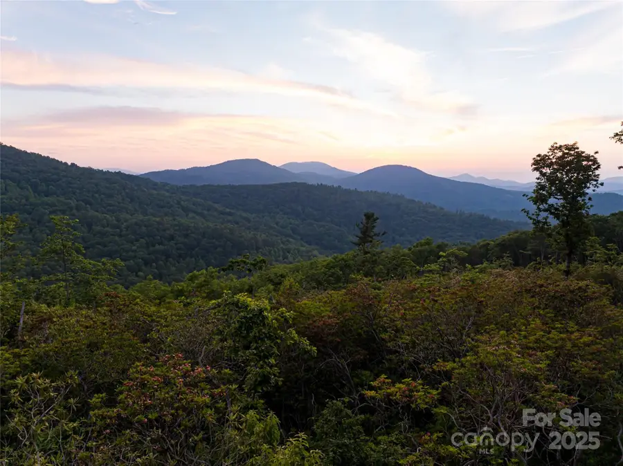 591 Garden Lane, Hendersonville, NC 28792 - Image #3