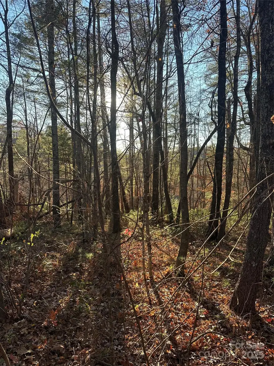 2830 Nix Creek Road, Marion, NC 28752 - Image #3