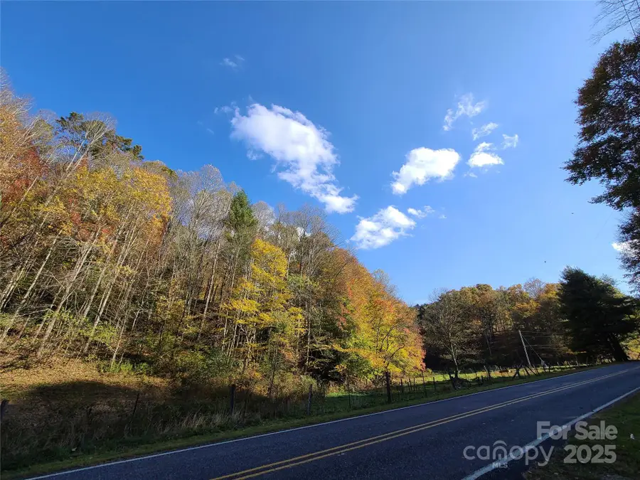 Tracts 2A & 2B Rabbit Skin Road #Tract 2A & 2B, Waynesville, NC 28785 - Image #2