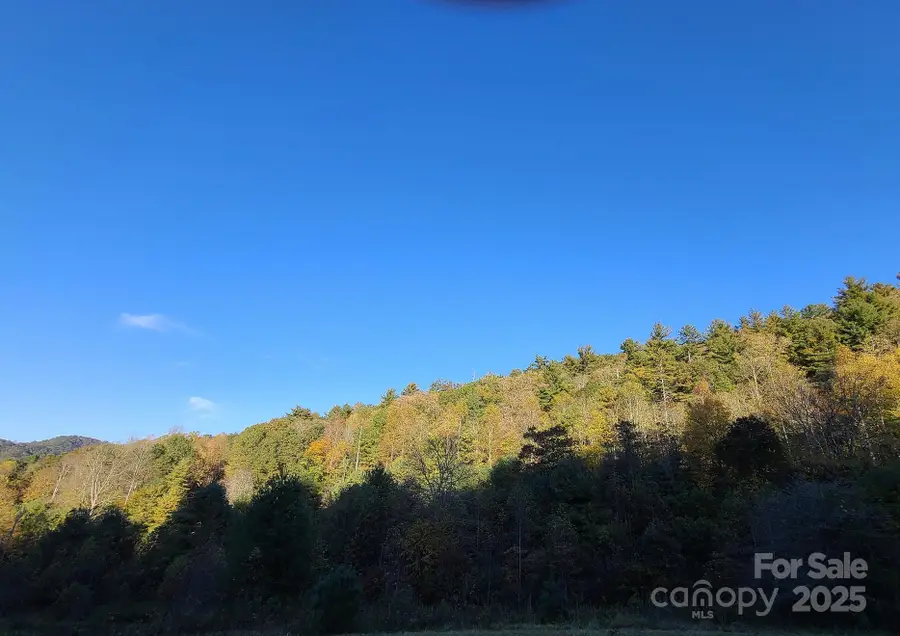 Tracts 2A & 2B Rabbit Skin Road #Tract 2A & 2B, Waynesville, NC 28785 - Image #3