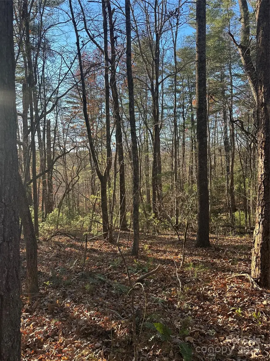 35 Westview Drive, Marion, NC 28752 - Image #2