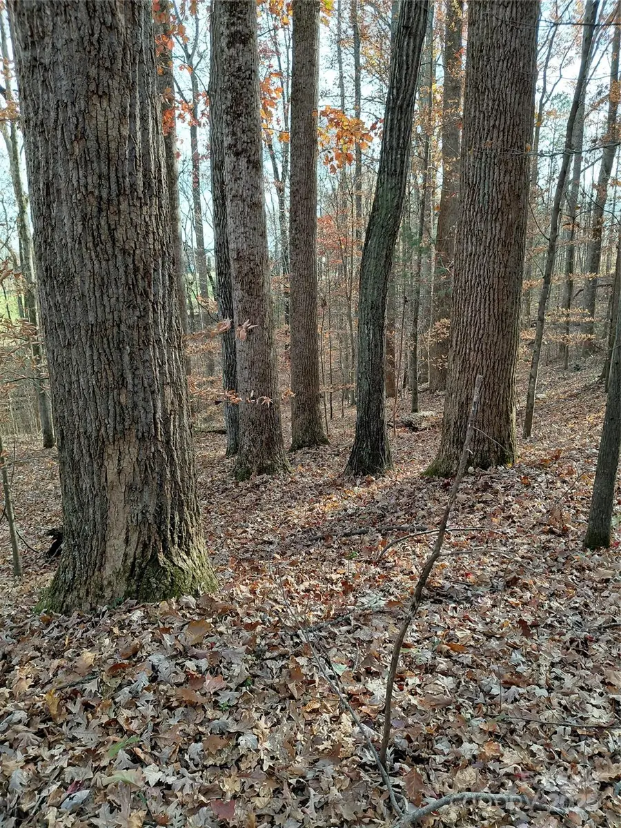 000 Hwy 64 Highway W, Mocksville, NC 27028 - Image #3