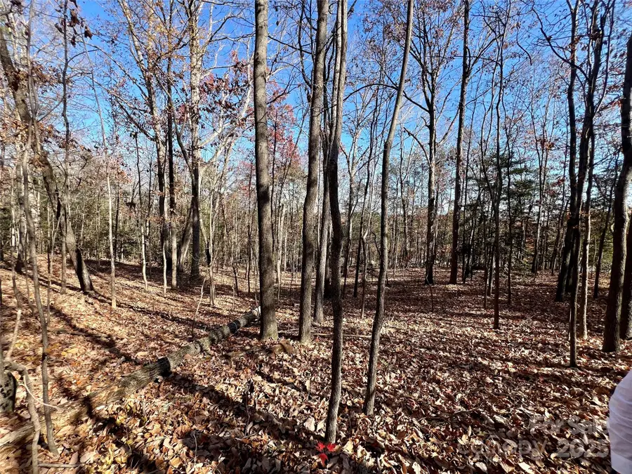 00 Sam Poole Lane, Taylorsville, NC 28681 - Image #3