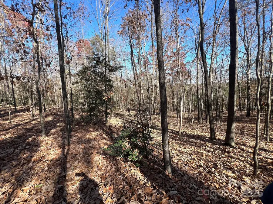 000 Sam Poole Lane, Taylorsville, NC 28681 - Image #2