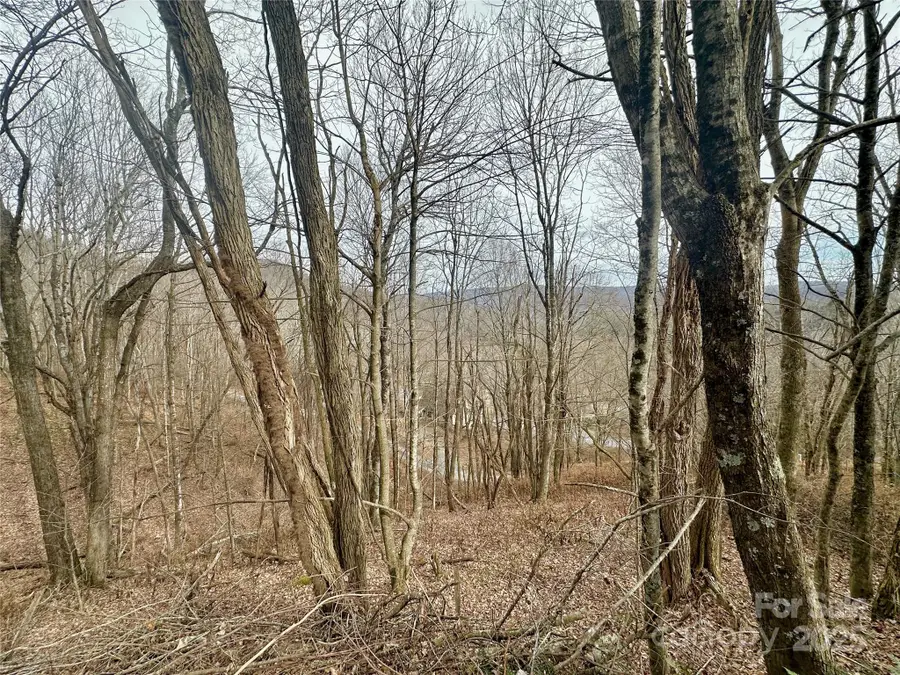 TBD Alpine Drive #21-22, Seven Devils, NC 28604 - Image #3