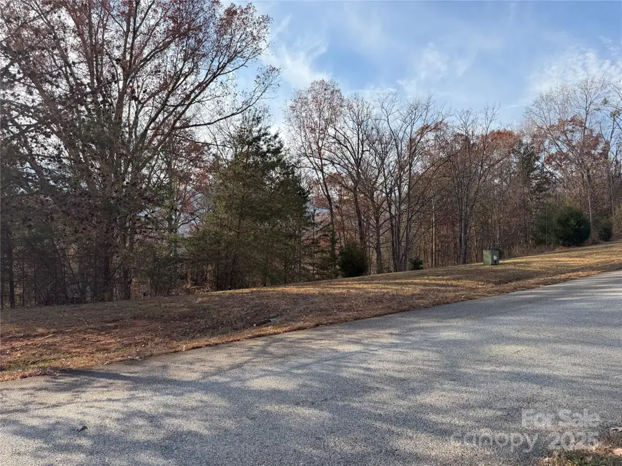 90 Chestertown Drive #90, Mill Spring, NC 28756 - Image #2