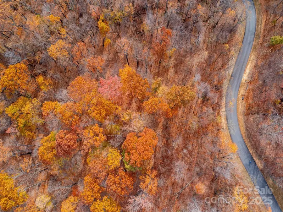 Lot 2110 Harm Creek Loop, Mill Spring, NC 28756 - Image #3