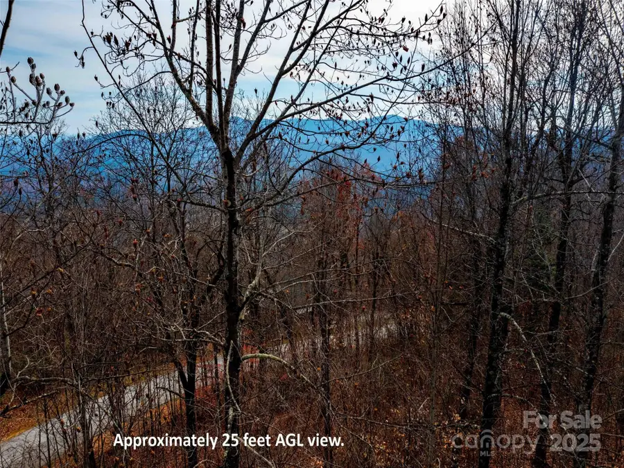 Lot 253 Haddington Drive, Mill Spring, NC 28756 - Image #2