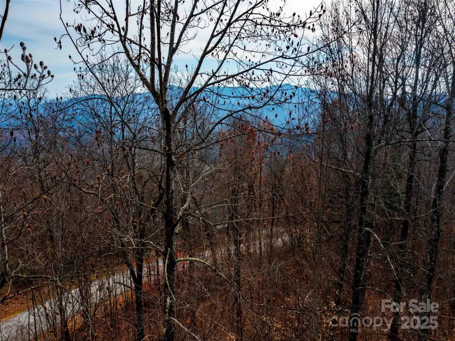 Lot 253 Haddington Drive, Mill Spring, NC 28756 - Image #3