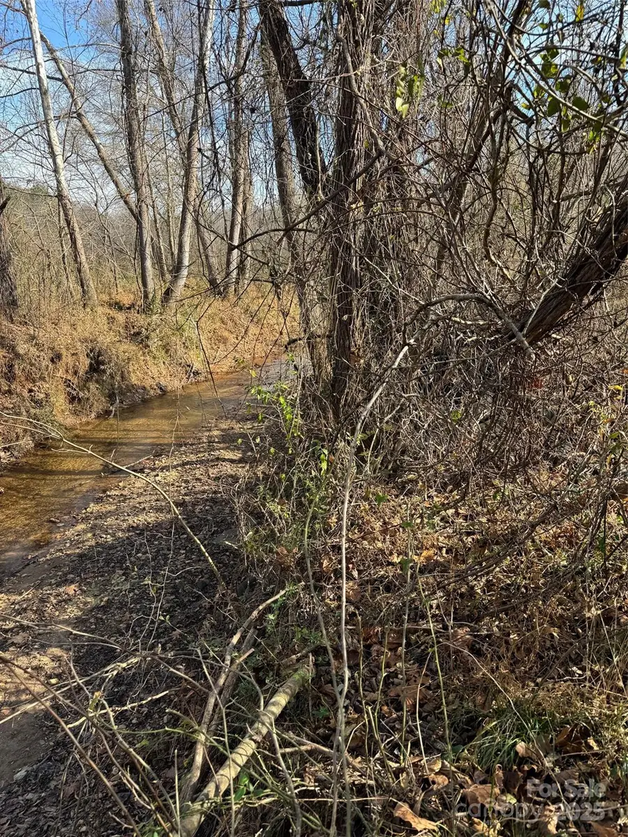 000 Thunder Road, Rutherfordton, NC 28139 - Image #2