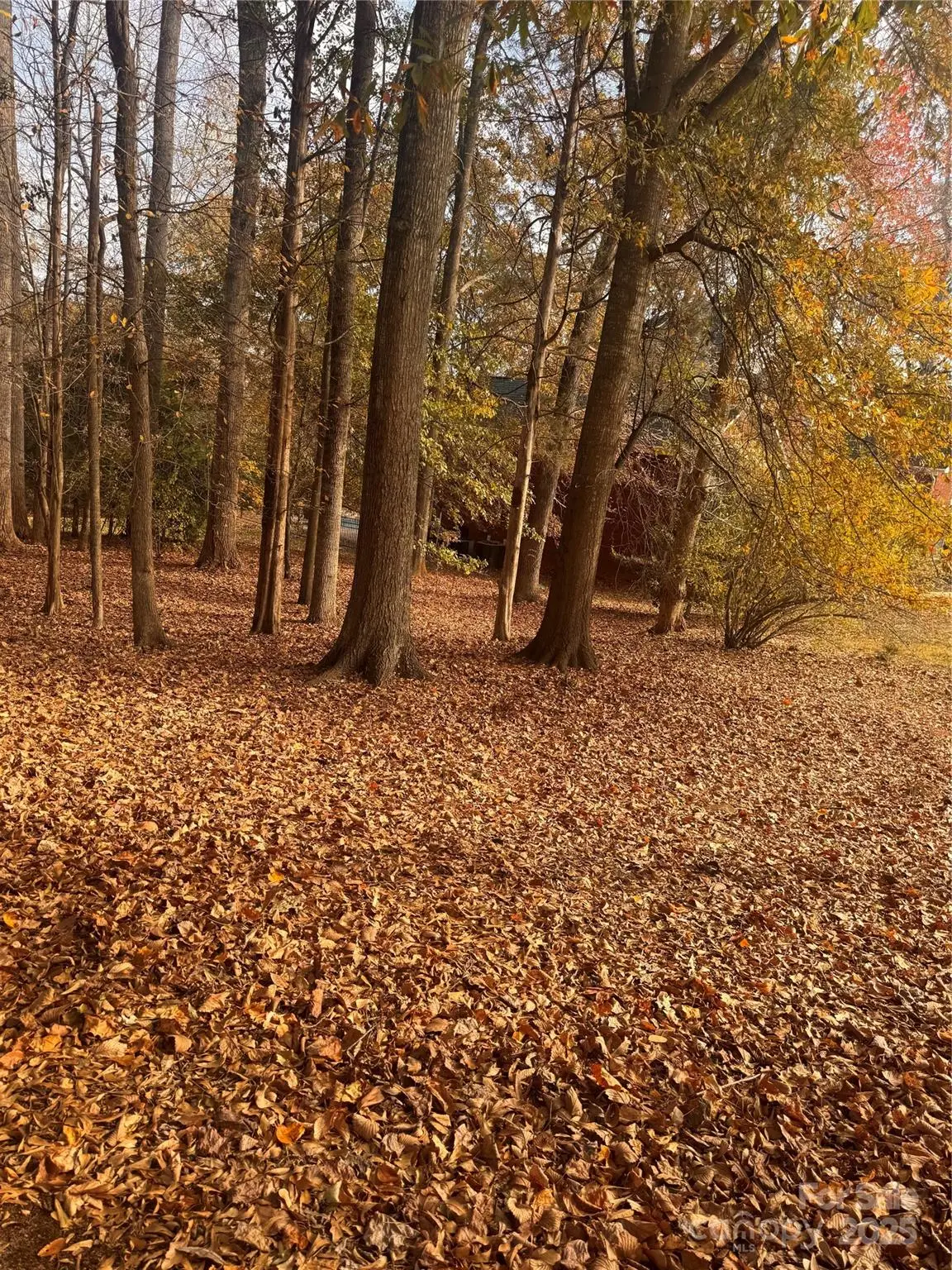 3048 Patrick Place Circle #10, Clover, SC 29710 - Image #1