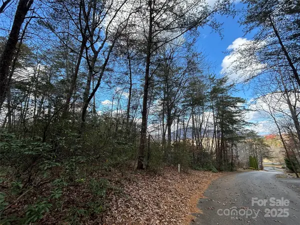 0 Raleigh Drive #2, Lake Lure, NC 28746