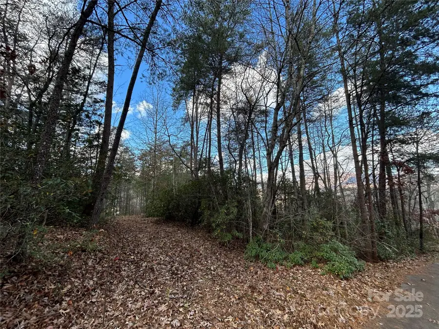 0 Raleigh Drive #2, Lake Lure, NC 28746 - Image #2