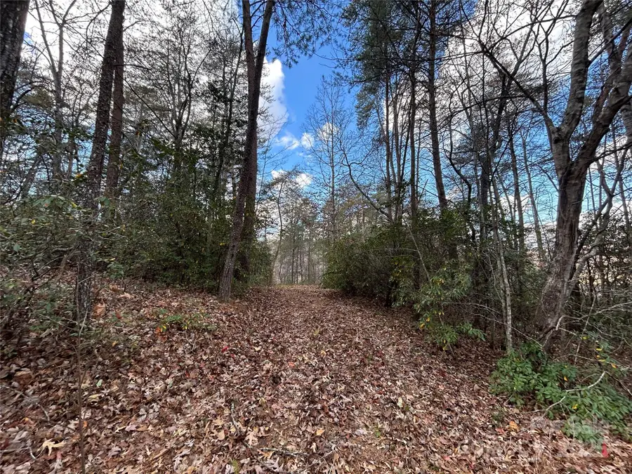 0 Raleigh Drive #2, Lake Lure, NC 28746 - Image #3