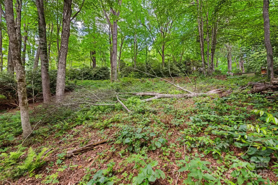 140 Pine View Road #43, Newland, NC 28657 - Image #3