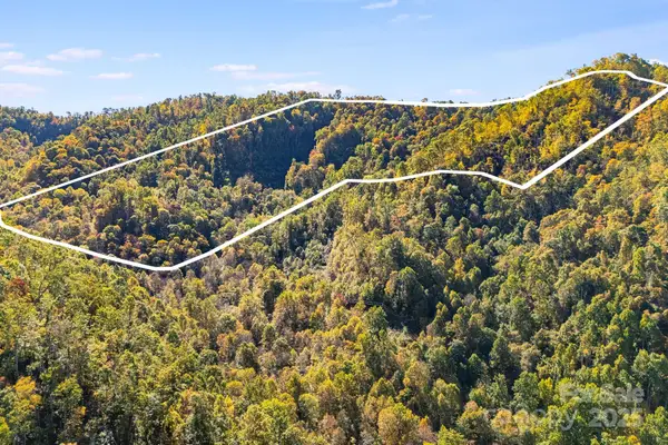 000 Hamburg Road #49, Mars Hill, NC 28754