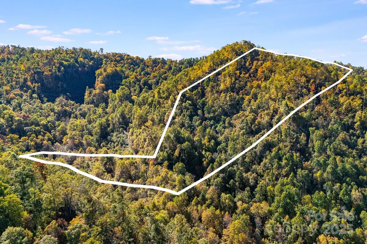 000 Hamburg Road #17, Mars Hill, NC 28754 - Image #1