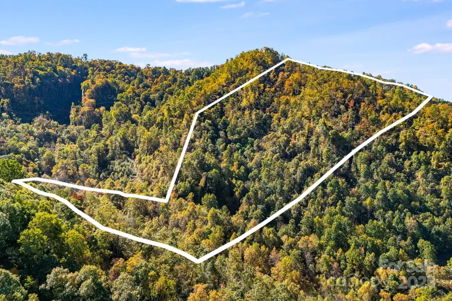 000 Hamburg Road #17, Mars Hill, NC 28754 - Image #2