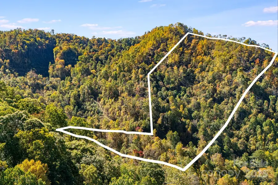 000 Hamburg Road #17, Mars Hill, NC 28754 - Image #3