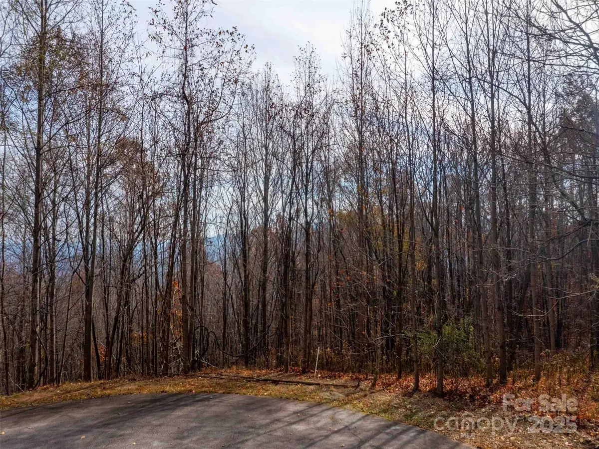 242 Nottingham Drive, Mill Spring, NC 28756 - Image #1