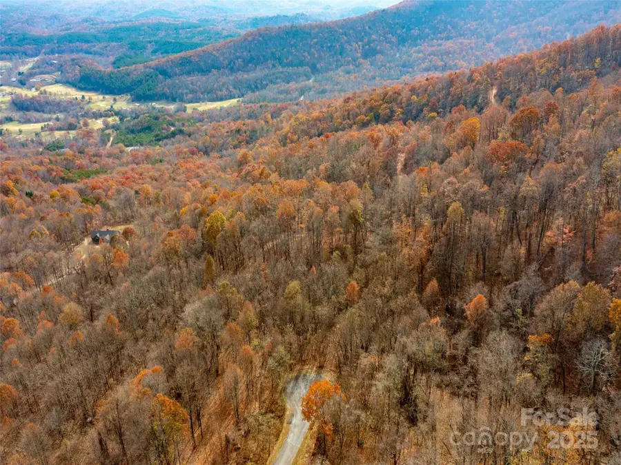 242 Nottingham Drive, Mill Spring, NC 28756 - Image #3