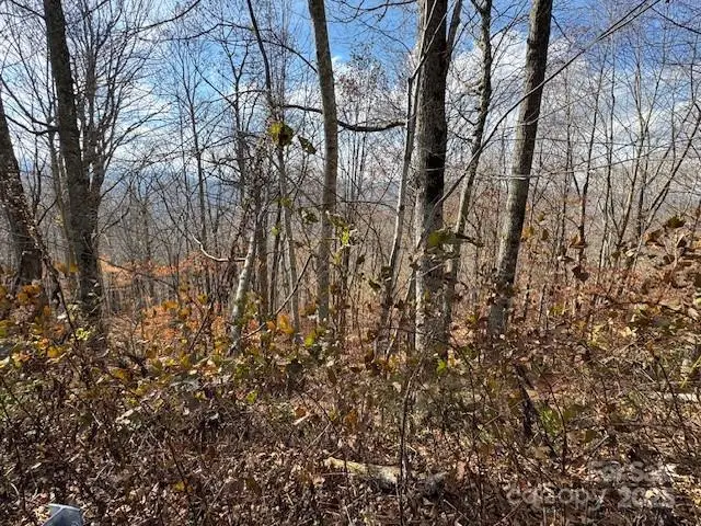 50 Scenic Wolf Ridge Road, Mars Hill, NC 28754 - Image #2