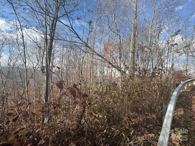 50 Scenic Wolf Ridge Road, Mars Hill, NC 28754 - Image #3