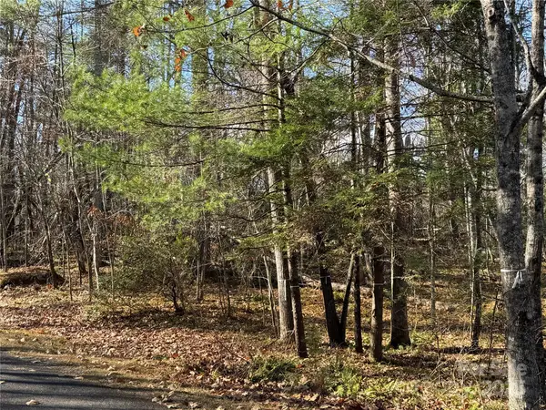 137 Nancy Ashworth Lane #13, Fairview, NC 28730