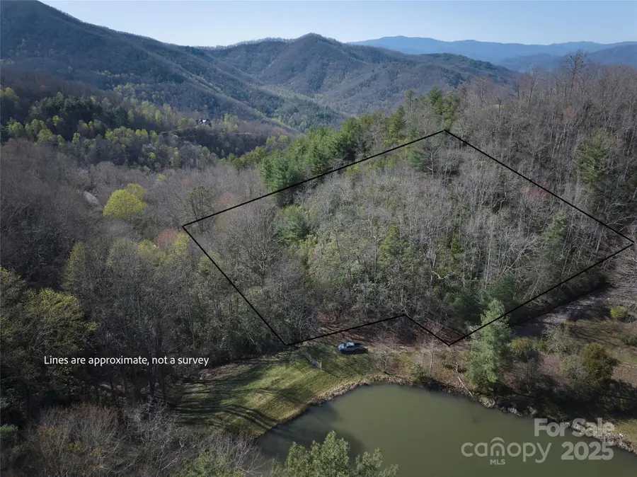 0 Conley Mountain Association Road, Whittier, NC 28789 - Image #2