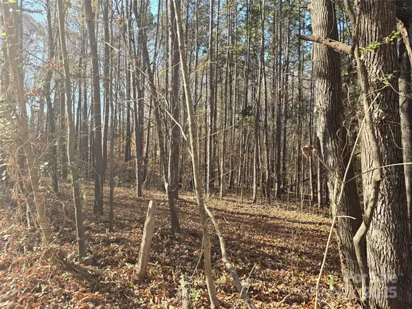 00 Shuffler Woods Road, China Grove, NC 28023