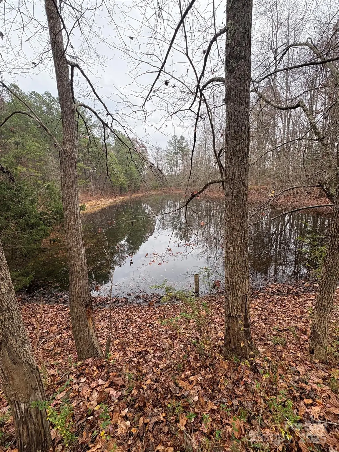 000 Laton Road, Albemarle, NC 28001 - Image #1