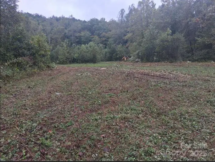 tbd 1 Morgan Lake Road #1, Marion, NC 28752 - Image #2