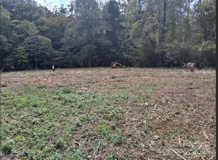 tbd 1 Morgan Lake Road #1, Marion, NC 28752 - Image #3