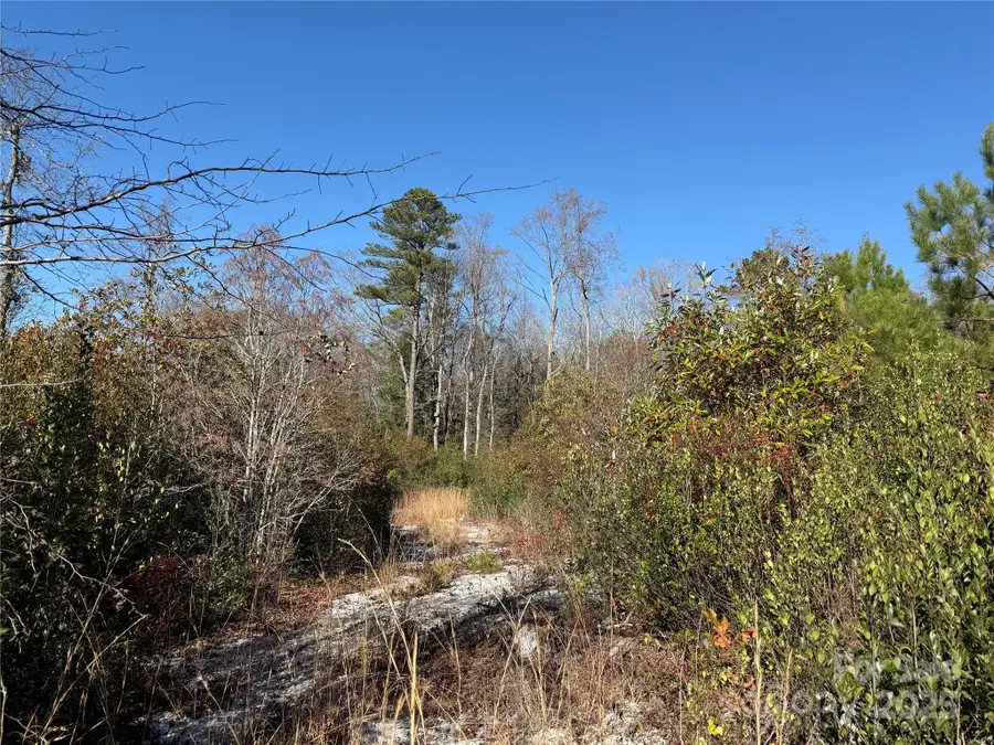 164 Haines Road, Jackson Springs, NC 27281 - Image #3