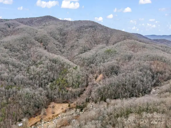 2726 Lower Flat Creek Road, Black Mountain, NC 28711